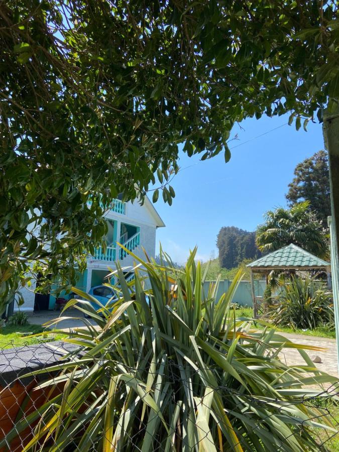 Homestay In Batumi Дом В Чакви Εξωτερικό φωτογραφία
