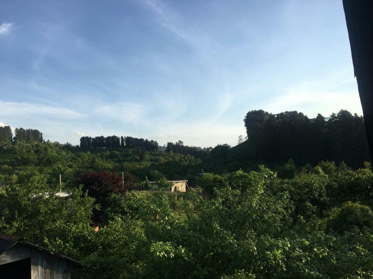 Homestay In Batumi Дом В Чакви Εξωτερικό φωτογραφία